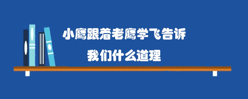 小鷹跟著老鷹學(xué)飛告訴我們什么道理