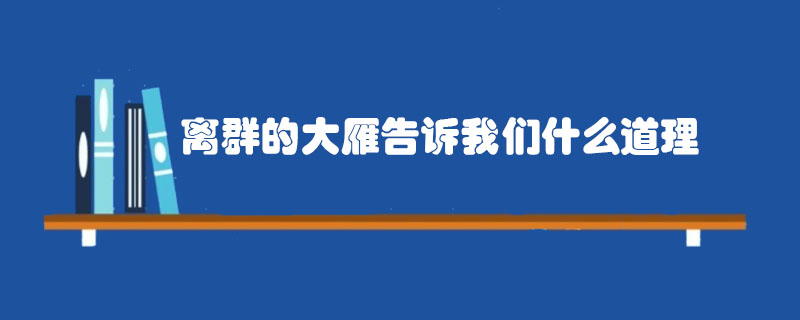 離群的大雁告訴我們什么道理