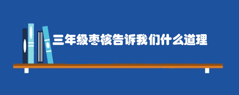 三年級(jí)棗核告訴我們什么道理