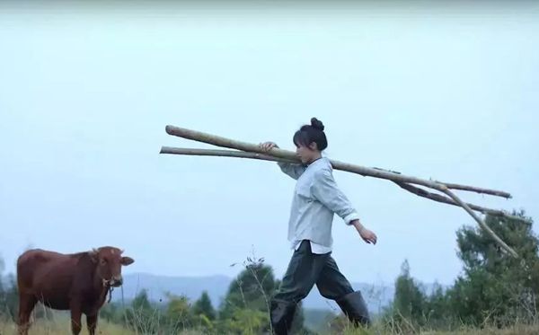 李子柒