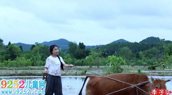 李子柒在耕田