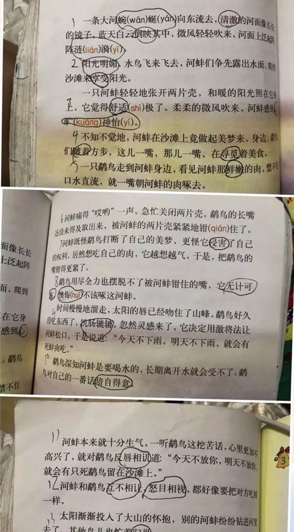 小學生為什么質疑鷸蚌相爭,學生質疑鷸蚌相爭是怎么回事