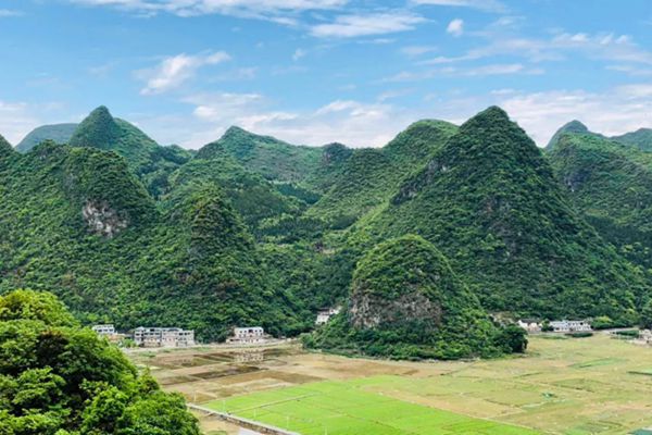 萬(wàn)林峰