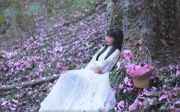 李子柒
