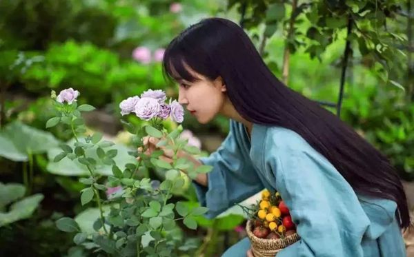 李子柒