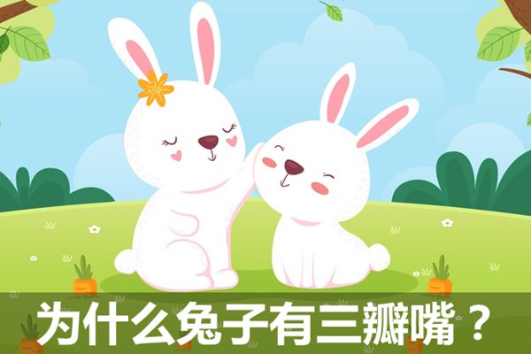 為什么兔子有三瓣嘴,兔子長(zhǎng)三瓣嘴的作用