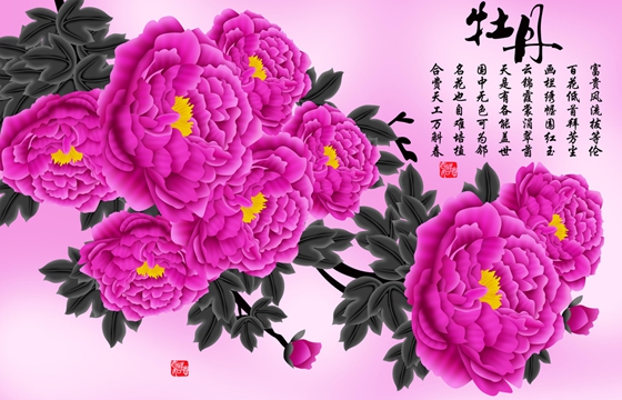 為什么牡丹被稱為花中之王？