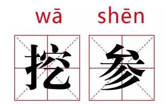 人參為什么會(huì)跑,人參真的會(huì)跑嗎