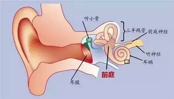 為什么暈車(chē)的人開(kāi)車(chē)不暈車(chē),開(kāi)車(chē)不暈車(chē)坐車(chē)會(huì)暈車(chē)的原因是什么
