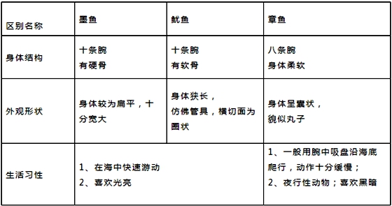 章魚真的沒有身子嗎,章魚的身體結構