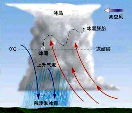 為什么夏天會下冰雹,冰雹產(chǎn)生原因及預(yù)防措施