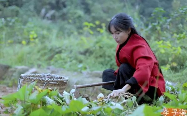李子柒