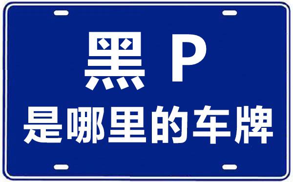黑P是哪里的車牌號,大興安嶺的車牌號是黑什么