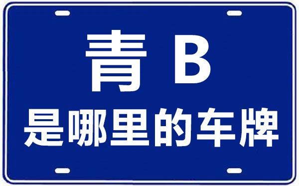 青B是哪里的車牌號,海東的車牌號是寧什么