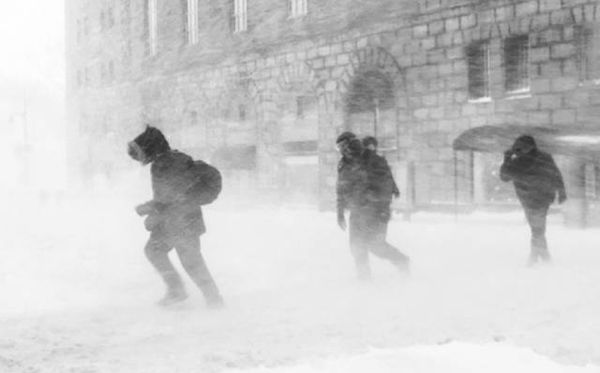 雪颮是什么意思,颮怎么讀,雪颮有哪些危害