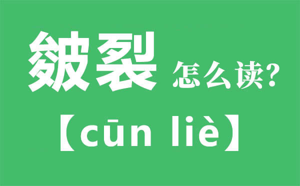 皴裂怎么讀,皴裂的拼音,皴裂是什么意思