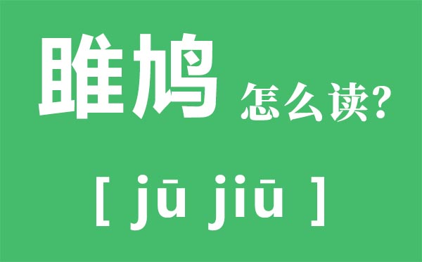 雎鳩怎么讀拼音是什么,雎鳩的意思,關(guān)關(guān)雎鳩是什么意思？
