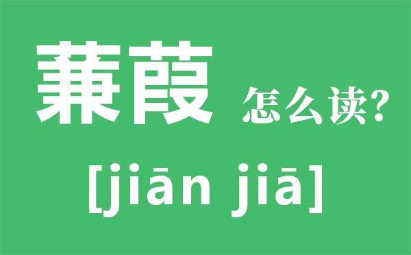 蒹葭怎么讀全文拼音,蒹葭的意思是什么,蒹葭原文翻譯及賞析