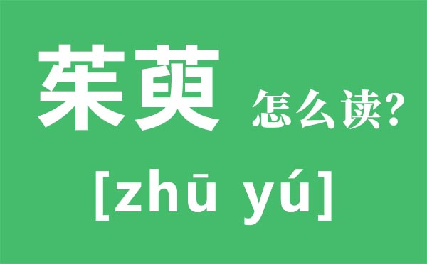 茱萸怎么讀,茱萸是什么意思,茱萸太重的人的特點(diǎn)