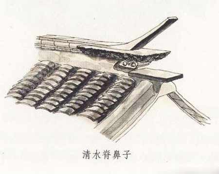 清水脊鼻子