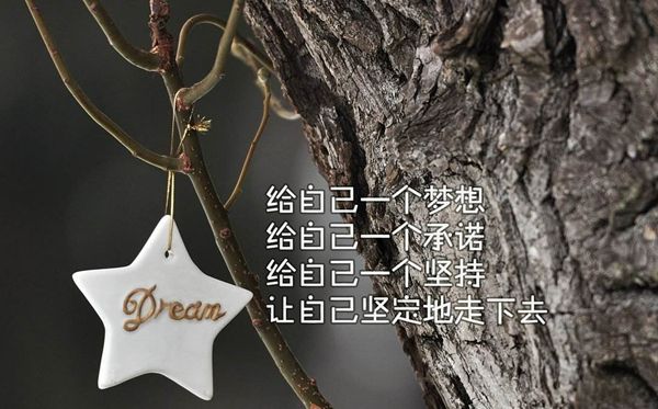 不惰者眾善之師也是什么意思,出自哪里