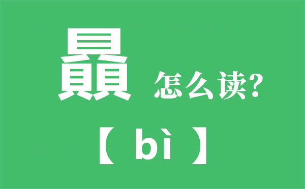 贔怎么讀,三個繁體的貝怎么念,贔的拼音,贔字是什么意思
