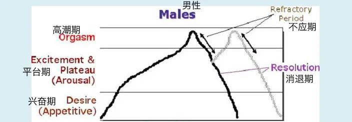 賢者時(shí)間是什么意思,圣人模式是什么意思,一般多久