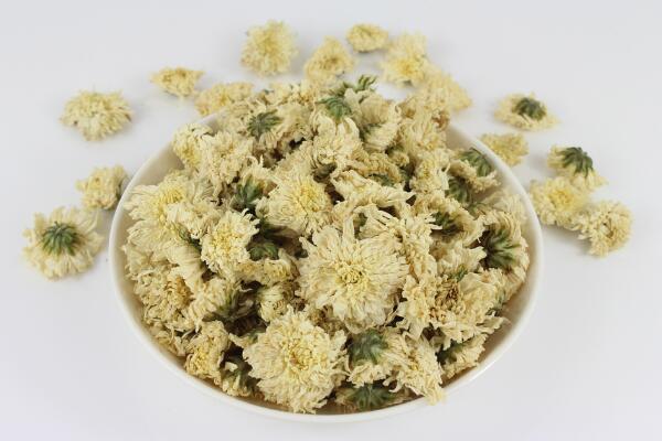 菊花有毒嗎，觸摸會(huì)導(dǎo)致皮膚瘙癢、腫脹