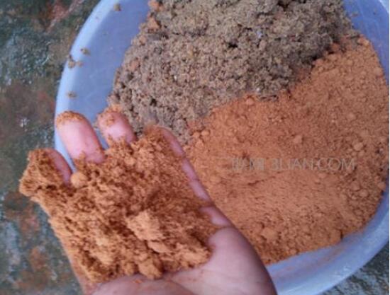 茶花爛根怎么辦，茶花爛根的處理方法
