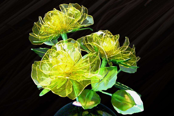 水晶花花語是什么，不同顏色花語含義不同