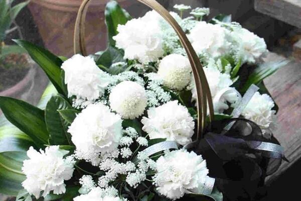 康乃馨花的圖片，不同顏色對應(yīng)不同花語