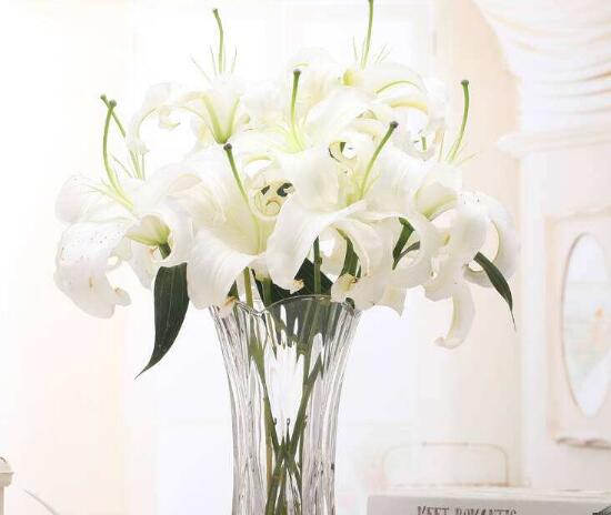百合花可以水培嗎，水培百合花的養(yǎng)殖方法
