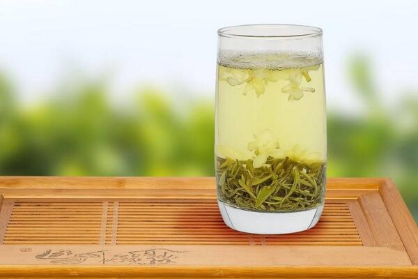 茉莉花茶的好處，四大功效以及作用