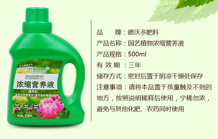康乃馨用什么肥料，康乃馨肥料推薦(康乃馨營(yíng)養(yǎng)液)