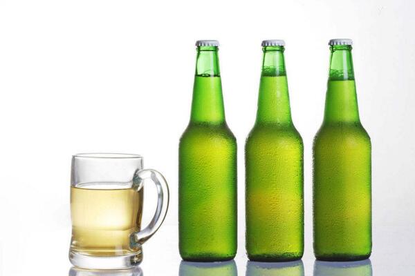 文竹可以用啤酒澆嗎，可以澆但要控制濃度比例（建議1:50）