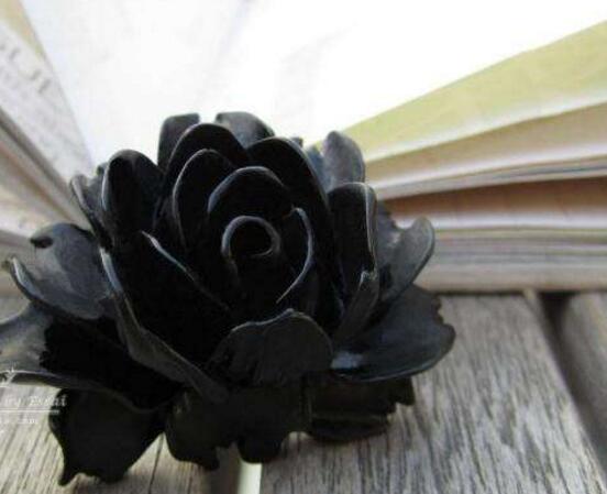 薔薇花圖片大全，細數(shù)薔薇花八種圖片大全