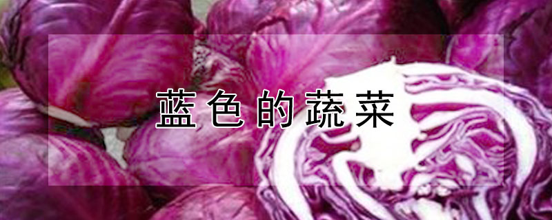 藍(lán)色的蔬菜