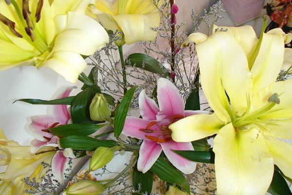 水養(yǎng)百合花注意事項(xiàng)，以下4點(diǎn)不可疏忽