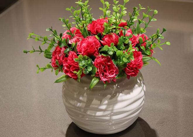 康乃馨一年開(kāi)幾次花（一次），盤(pán)點(diǎn)一年四季開(kāi)花的養(yǎng)殖方法