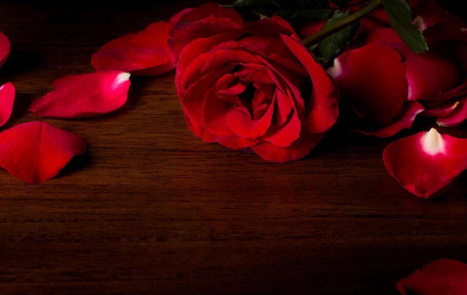 送玫瑰花朵數(shù)的含義，999朵天長(zhǎng)地久的愛(ài)