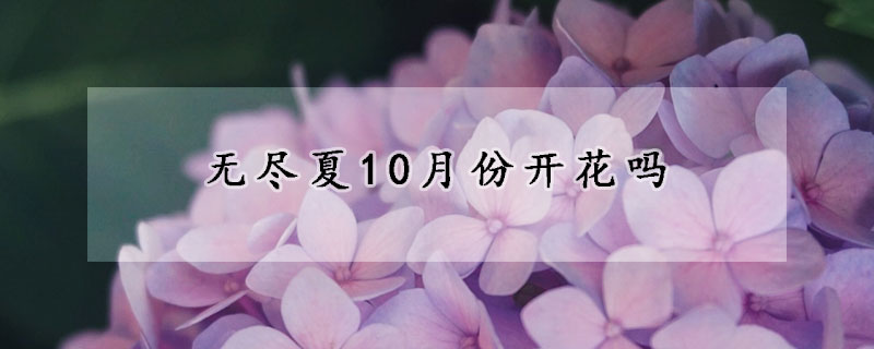 無(wú)盡夏10月份開(kāi)花嗎
