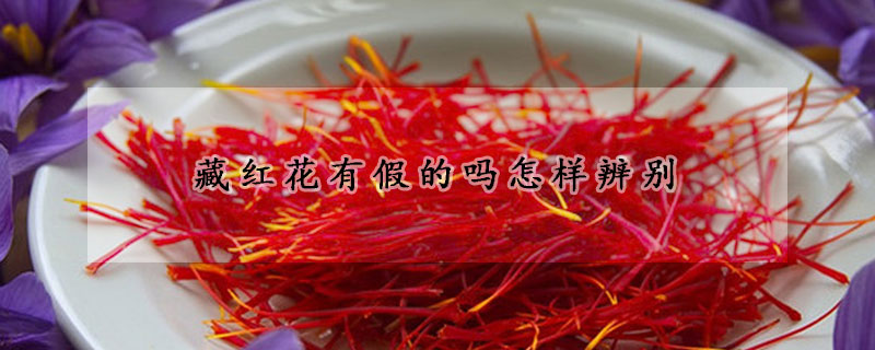 藏紅花有假的嗎怎樣辨別