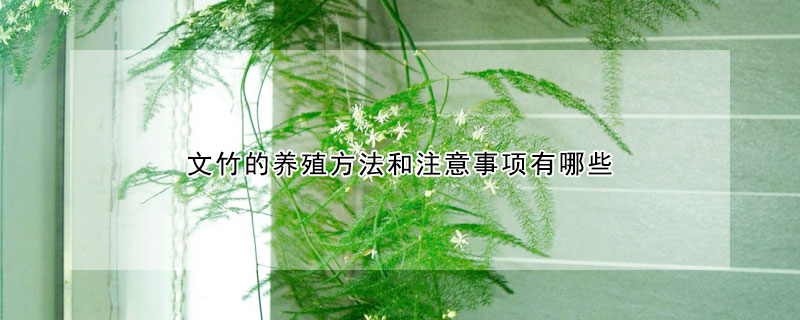 花卉大全