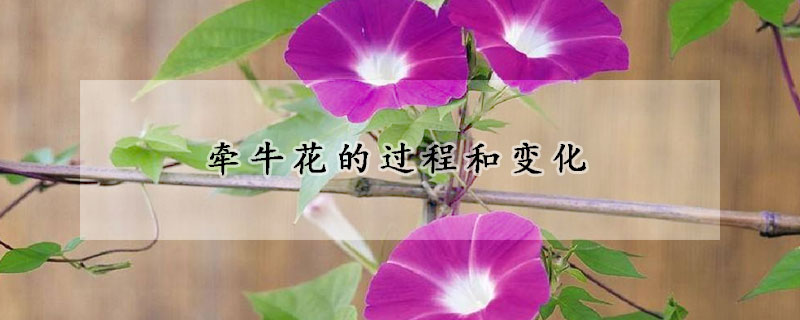 牽?；ǖ倪^程和變化