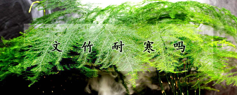 花卉大全