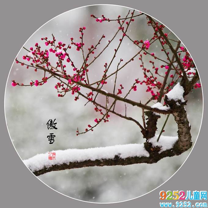 有關(guān)梅花的小學(xué)生觀察<a href=http://www.inspiredelm.com/riji/ target=_blank class=infotextkey>日記</a>