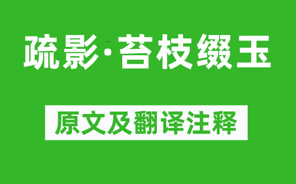 姜夔《疏影·苔枝綴玉》原文及翻譯注釋,詩意解釋