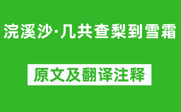 蘇軾《浣溪沙·幾共查梨到雪霜》原文及翻譯注釋,詩意解釋
