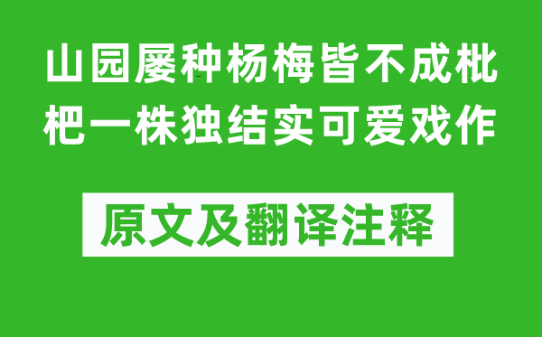 陸游《山園屢種楊梅皆不成枇杷一株獨(dú)結(jié)實(shí)可愛戲作》原文及翻譯注釋,詩意解釋