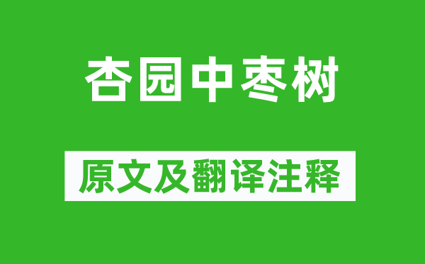 白居易《杏園中棗樹》原文及翻譯注釋,詩意解釋